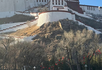 宗角禄康公园第 15 张图片