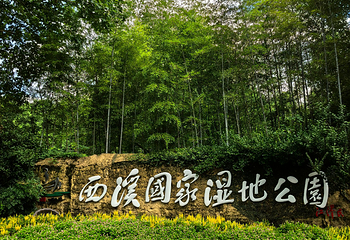 西溪国家湿地公园第 217 张图片