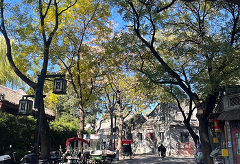 什刹海风景区第 242 张图片