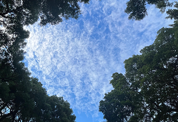 沙面第 39 张图片