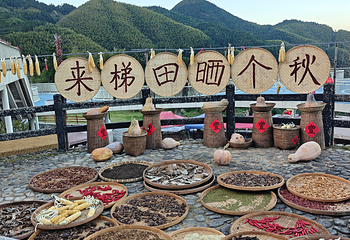 云和梯田景区第 30 张图片