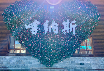 喀纳斯景区第 219 张图片