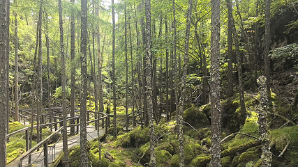 镜泊湖风景区第 210 张图片