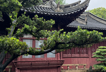 豫园第 123 张图片