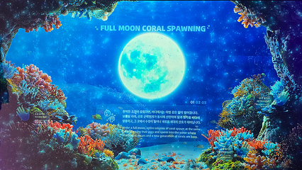 Sea Life COEX水族馆第 22 张图片