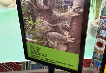 红山森林动物园第 225 张图片