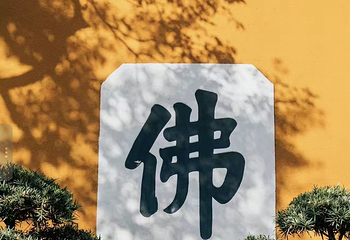 普陀山风景区第 113 张图片