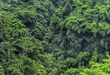 川西竹海景区第 33 张图片