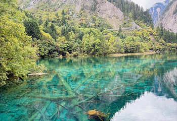 九寨沟风景区第 547 张图片