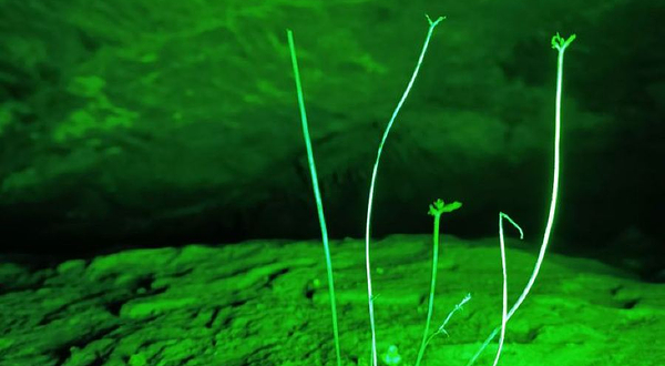 龙眼洞旅游景区