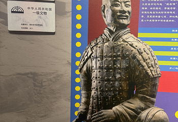 秦始皇帝陵博物院(兵马俑)第 504 张图片