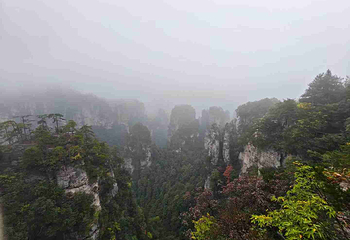 天门山国家森林公园第 713 张图片
