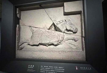 西安碑林博物馆第 211 张图片