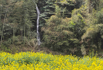 新安江山水画廊第 43 张图片