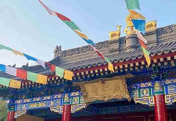 广仁寺第 56 张图片