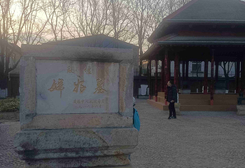 殷墟第 67 张图片