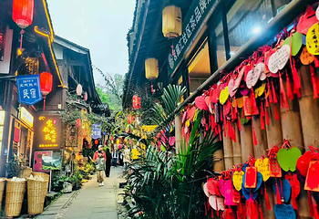 都江堰西街第 10 张图片