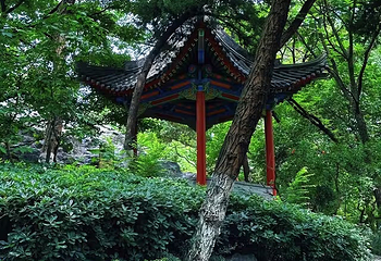 兴庆宫公园第 154 张图片