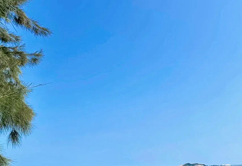 彩蝶湾景区第 57 张图片