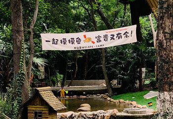 沃普·紫金山探险营地第 27 张图片