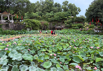 莲花山旅游区第 17 张图片