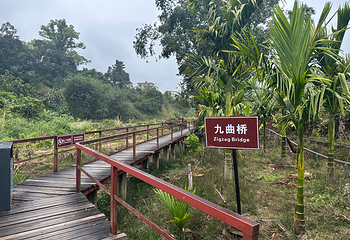 五指山水满河热带雨林风景区第 13 张图片