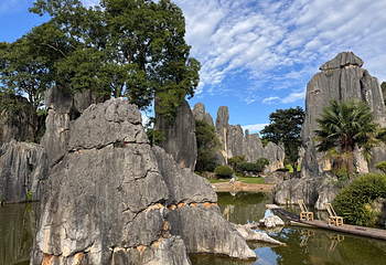 石林风景区第 44 张图片