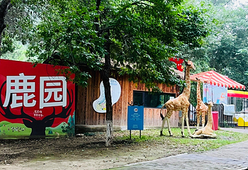 奥林匹克森林公园第 68 张图片
