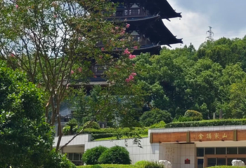 温州市景山森林公园第 4 张图片