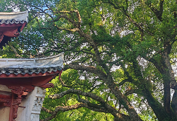 古堰画乡旅游度假区第 67 张图片
