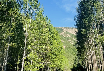 百里山水画廊第 100 张图片