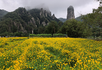 缙云仙都景区第 129 张图片