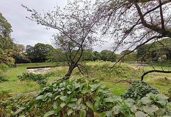 小田原城第 21 张图片