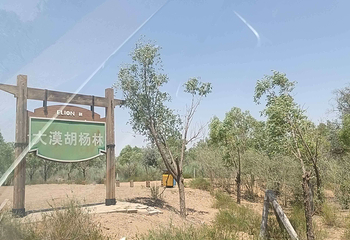 七星湖沙漠生态旅游区第 56 张图片