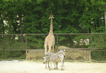 Zoo Brno第 10 张图片