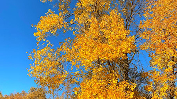 Kokbulak Sayram Ogem Zapovednik