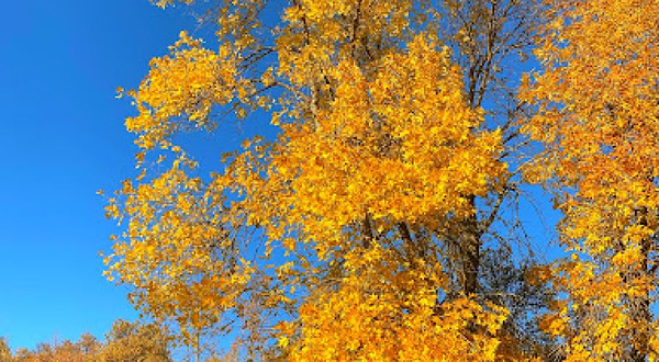 Kokbulak Sayram Ogem Zapovednik
