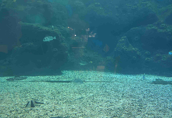 亚龙湾国家旅游度假区第 100 张图片