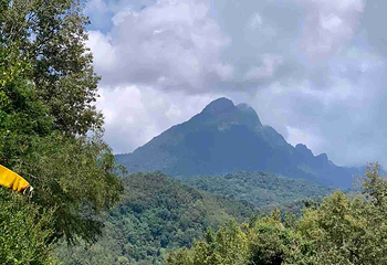 五指山水满河热带雨林风景区第 11 张图片
