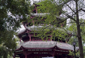 杜甫草堂第 345 张图片