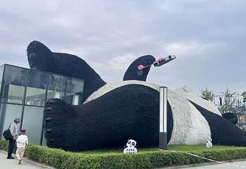仰天窝广场第 23 张图片