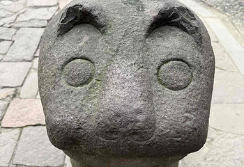 天一阁博物院第 259 张图片