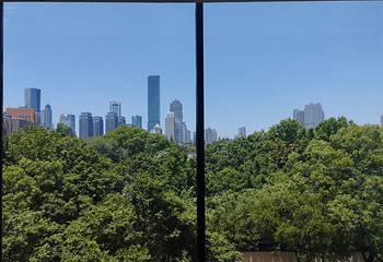 六朝博物馆第 95 张图片