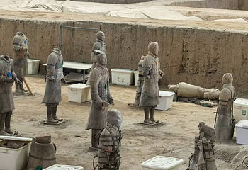 秦始皇帝陵博物院(兵马俑)第 441 张图片