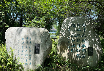 浣花溪公园第 18 张图片