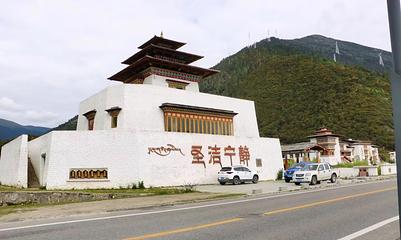 鲁朗国际旅游小镇第 24 张图片