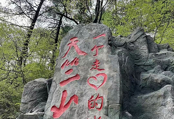 秦岭天竺山生态文化旅游景区第 55 张图片