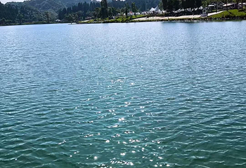 南天湖景区第 98 张图片
