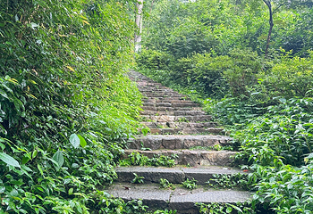 岳麓山第 55 张图片
