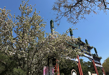 陶然亭公园第 50 张图片